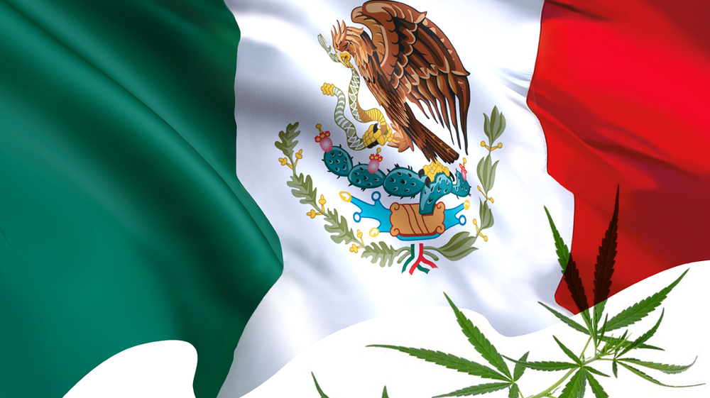 ¿Es Legal el CBD en México?