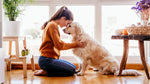 CBD para perros, avance veterinario para mejorar la vida de tu mascota