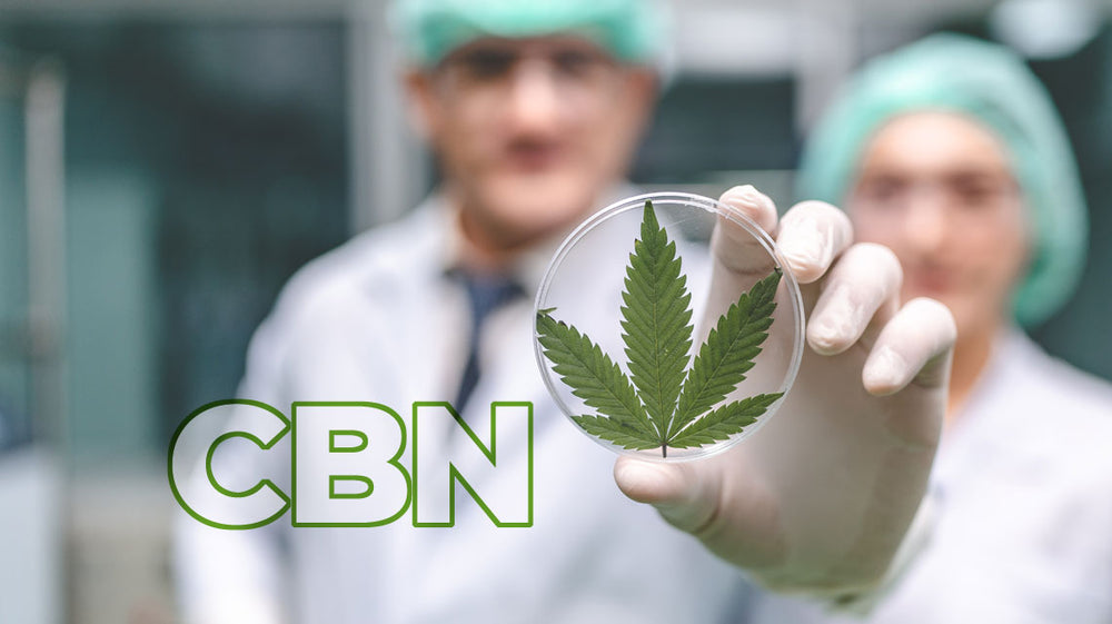 CBN, un Cannabinoide poco conocido