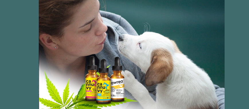 Frascos de aceite de CBD para mascotas, una mujer besa a su perro