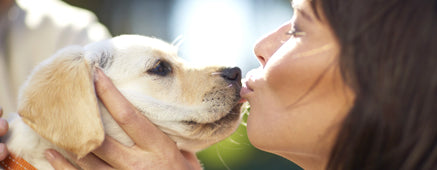 La dueña de un hermoso perrito le da un beso muy tierno.